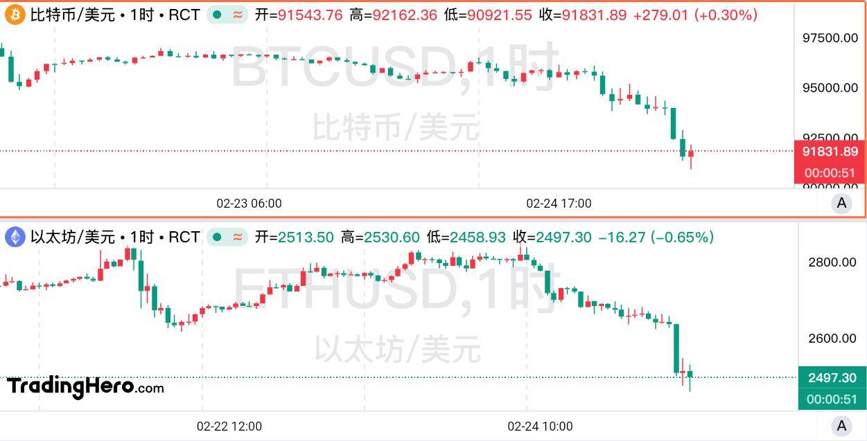 关于SHIB上扬势惊人，一夜飙升213%，加密市场沸腾的信息