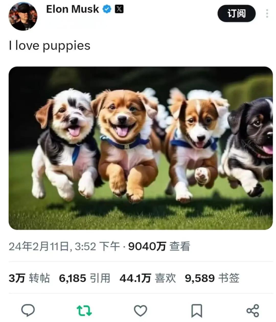 狗狗币官方面向外界公布与20.53携手，开启元宇宙新纪元！